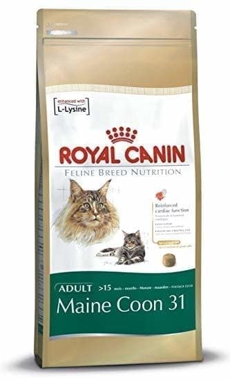Royal Canin Cat Maine Coon 31 2kg Marks Tey Discount Pet Foods